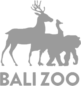 Bali Zoo